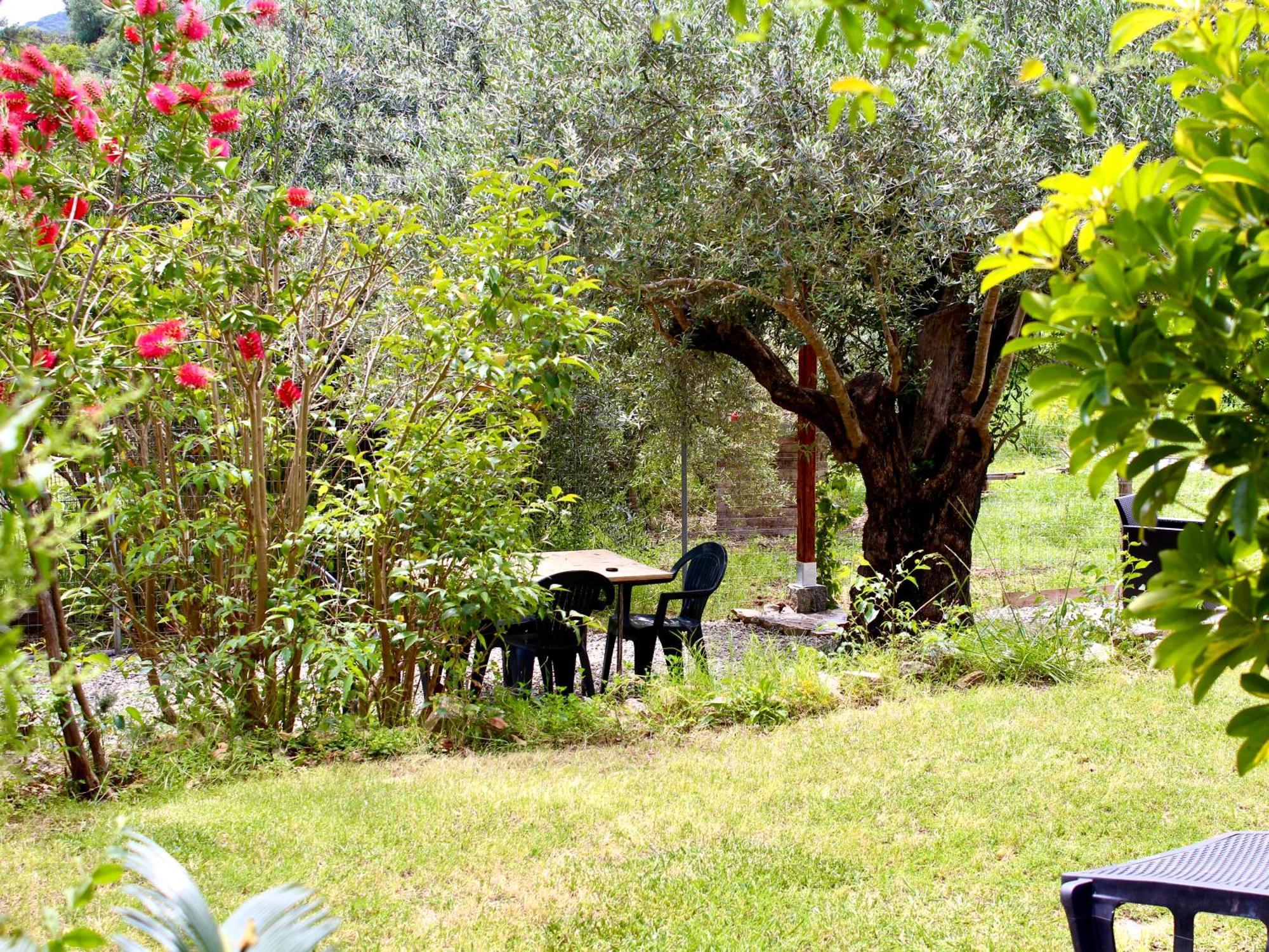 Villa Pelau - Holiday Home Jerzu ภายนอก รูปภาพ