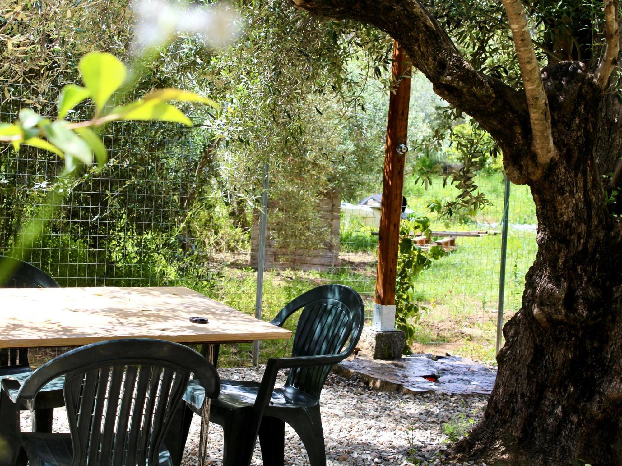 Villa Pelau - Holiday Home Jerzu ภายนอก รูปภาพ
